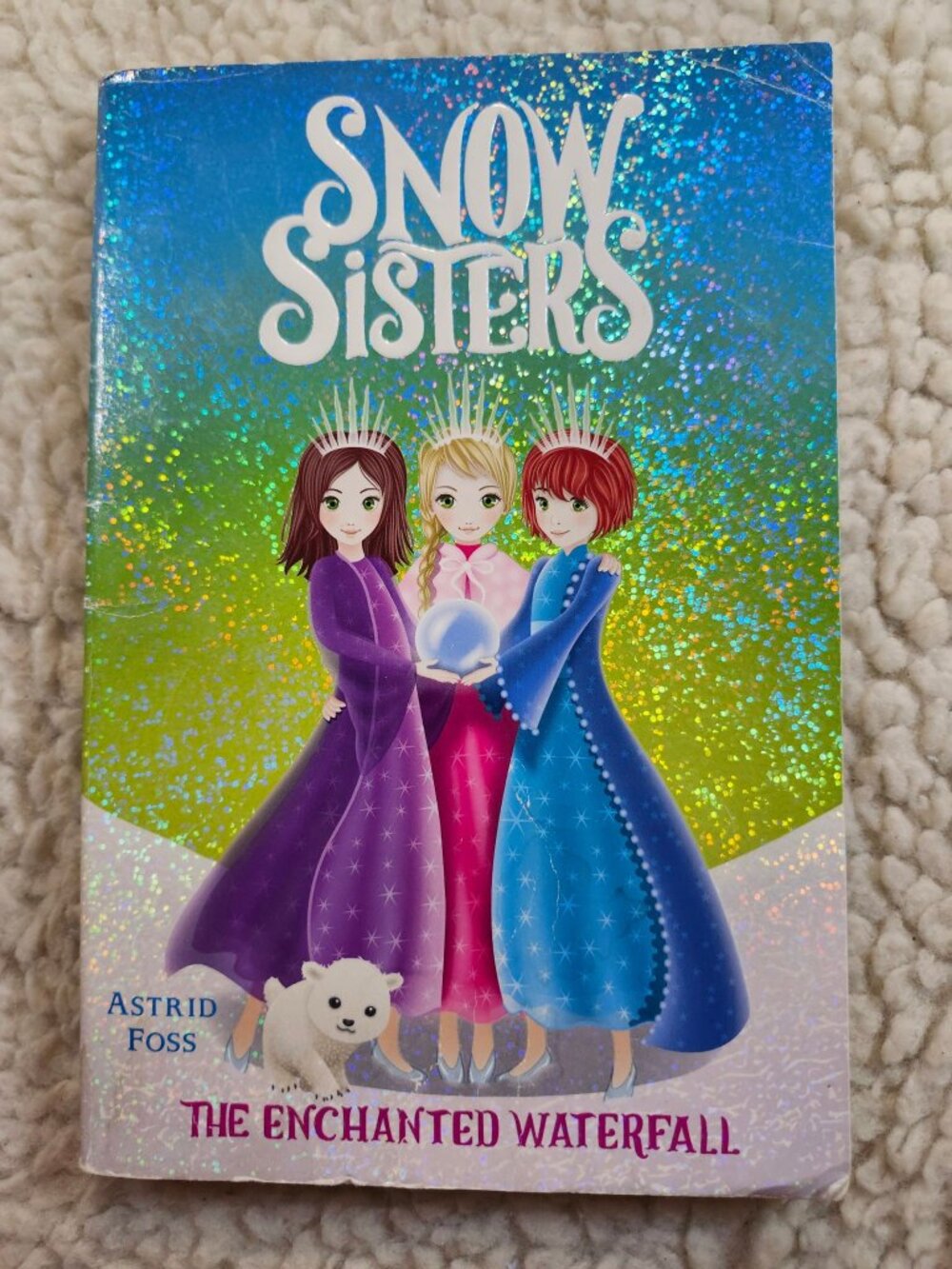 Snow Sisters The Enchanted Waterfall Astrid Foss Aladdin Paperback Childrens